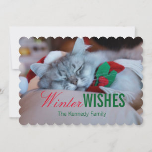 Cat with christmas hat and scarf, sleeping cat feiertagskarte