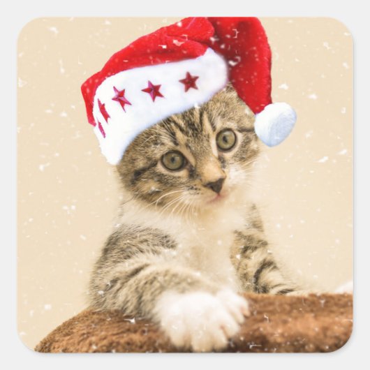 Cat with santa cap quadratischer aufkleber (Vorderseite)