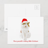 Cat with Santa’s Hat Postkarte (Vorne/Hinten)
