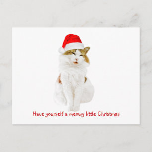 Cat with Santa’s Hat Postkarte