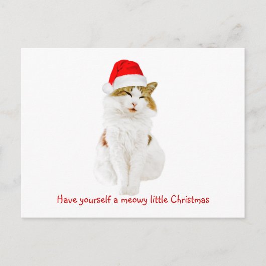Cat with Santa’s Hat Postkarte (Vorderseite)