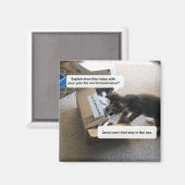 Cat World Domination Magnet (Vorderseite/Rückseite)