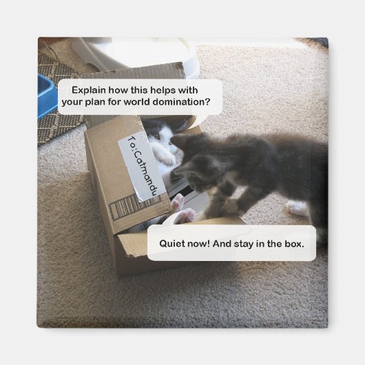 Cat World Domination Magnet (Vorne)