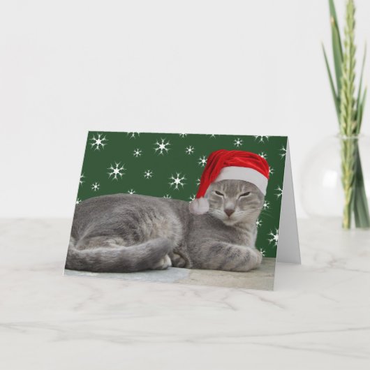 Cat Xmas Cards Feiertagskarte (Vorderseite)