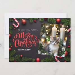 Cat Xmas Urlaubskarte Feiertagskarte