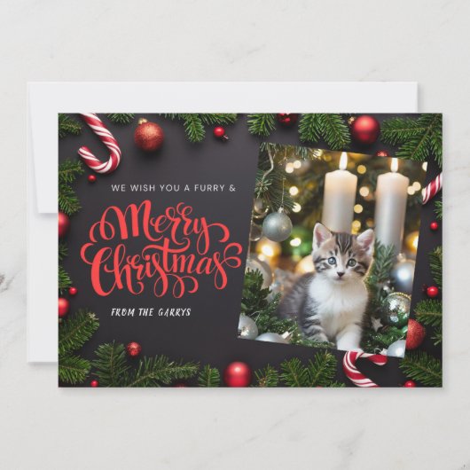 Cat Xmas Urlaubskarte Feiertagskarte (Vorderseite)