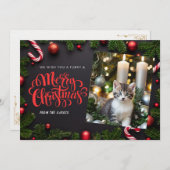Cat Xmas Urlaubskarte Feiertagskarte (Vorne/Hinten)