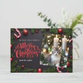 Cat Xmas Urlaubskarte Feiertagskarte (Stehend Vorderseite)