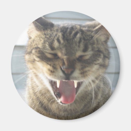 Cat Yawn Magnet (Vorne)