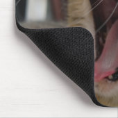 Cat yawn mousepad (Ecke)