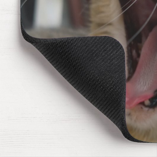 Cat yawn mousepad (Ecke)