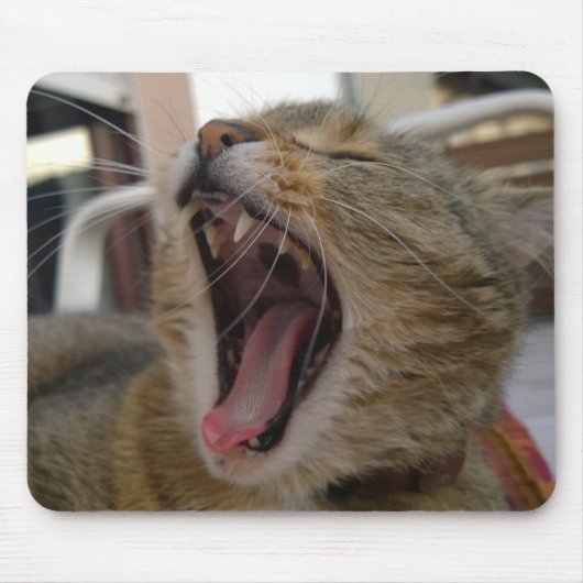 Cat yawn mousepad (Vorne)