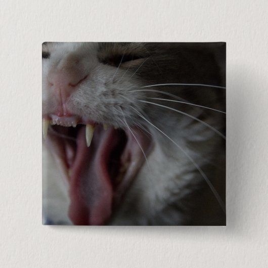 Cat Yawning Button (Vorderseite)