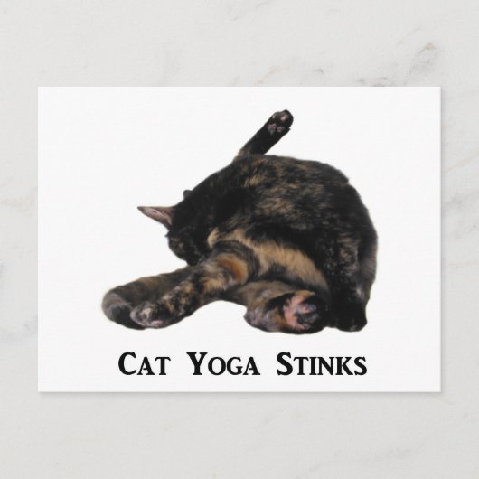 Cat Yoga Stinks Postkarte (Vorderseite)