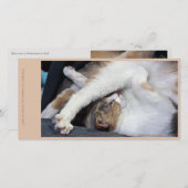 Cat Yoga/Sweet Face Dankeskarte (Vorne/Hinten)