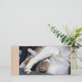 Cat Yoga/Sweet Face Dankeskarte (Stehend Vorderseite)