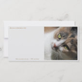 Cat Yoga/Sweet Face Dankeskarte (Rückseite)