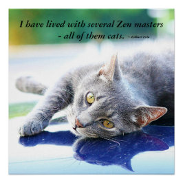 Cat Zen Master Poster