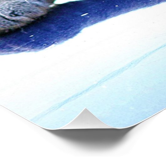 Cat Zen Master Poster (Ecke)