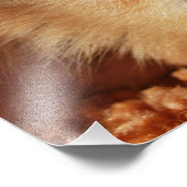 Cat-Zitat Fotodruck (Ecke)