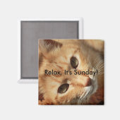 Cat-Zitat Magnet (Vorderseite/Rückseite)