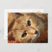 Cat-Zitat Postkarte (Vorne/Hinten)