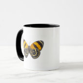 Catagramma cynosura tasse (Vorderseite Links)