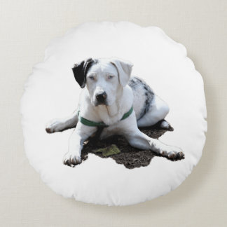 Catahoula Kanaille-Niederlegung Rundes Kissen