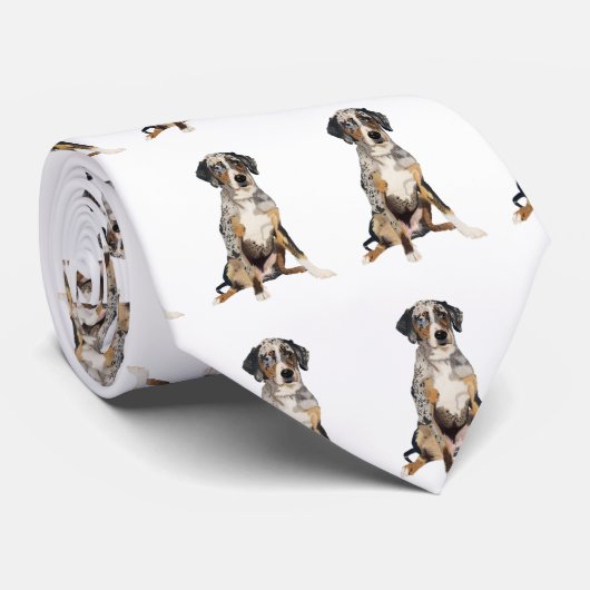 Catahoula Krawatte durch gerade schlichtes Pix (Gerollt)