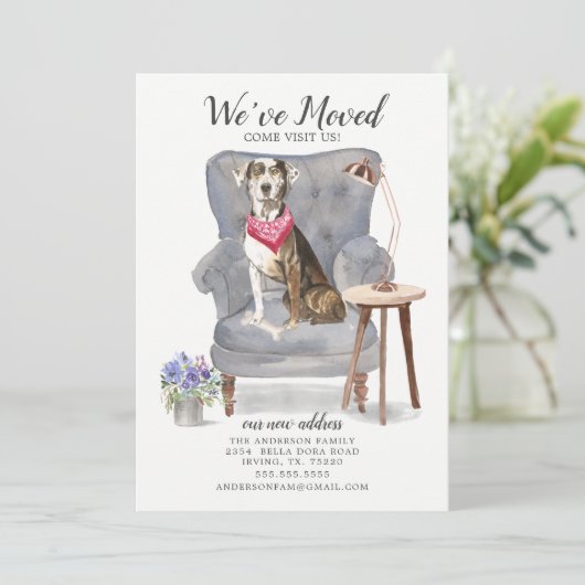 Catahoula Leopard Dog | Ankündigung der Beförderun (Stehend Vorderseite)