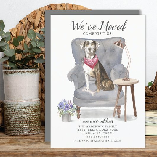 Catahoula Leopard Dog | Ankündigung der Beförderun