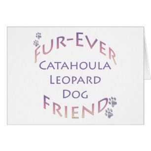 Catahoula Leopard Dog Furever