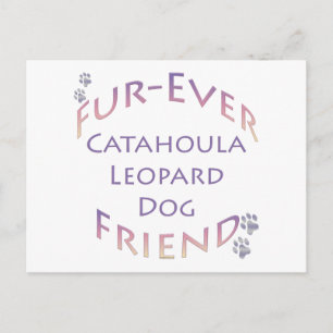 Catahoula Leopard Dog Furever Postkarte