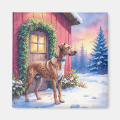 Catahoula Leopard Dog Rustic Barn Christmas Art Magnet (Vorne)