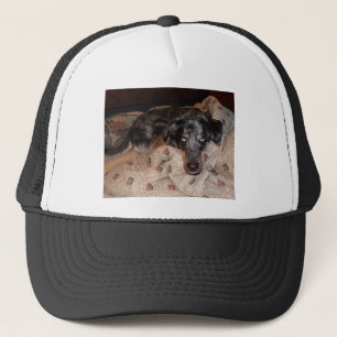 Catahoula Leopard Dog Snoozing Truckerkappe