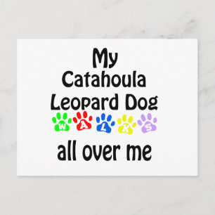 Catahoula Leopard Dog Walks Design Postkarte