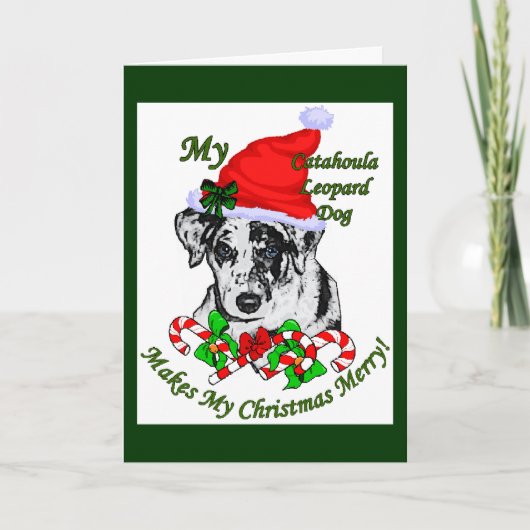 Catahoula Leopard Dog Weihnachtsgeschenke Feiertagskarte (Vorderseite)
