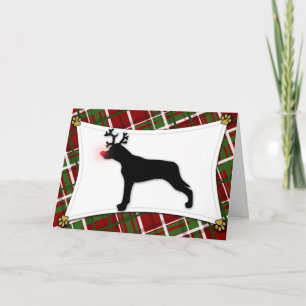 Catahoula Leopard-Hunderen-Weihnachtskarte Feiertagskarte