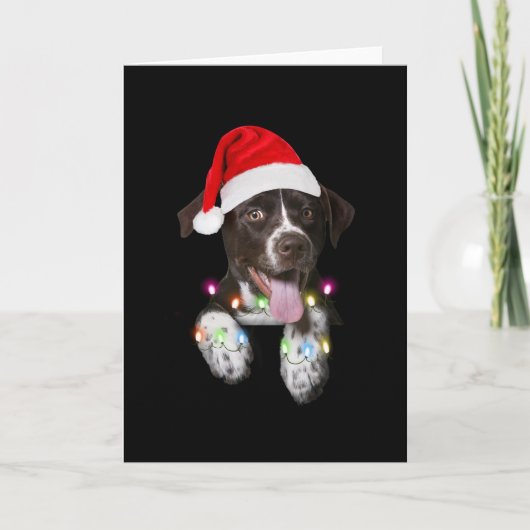 Catahoula Puppy Sitting Christmas light Karte (Vorderseite)