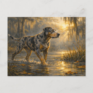 Catahoula Sunrise | Jagdhund Kunst | Postkarte