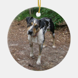 Catahoula Weihnachten Keramik Ornament