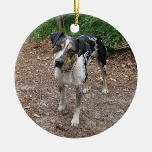 Catahoula Weihnachten Keramik Ornament (Vorne)