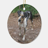 Catahoula Weihnachten Keramik Ornament (Links)