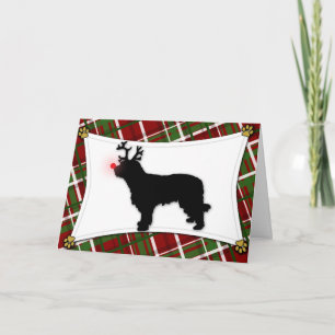 Catalan Sheepdog Rentier Weihnachtskarte Feiertagskarte
