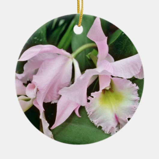 Catalaya Orchideen-Blumen Keramik Ornament (Vorne)