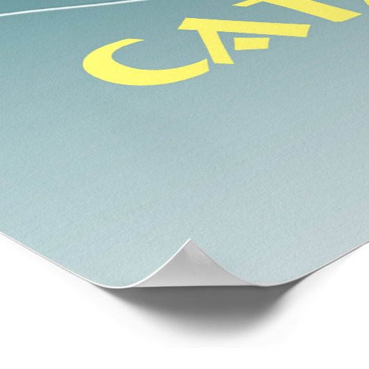 Catalina Flying Fish Poster (Ecke)