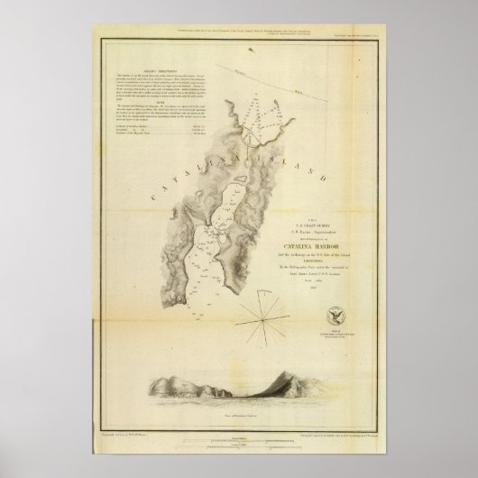 Catalina Harbour Poster (Vorne)