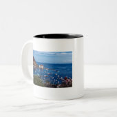 Catalina-Insel Zweifarbige Tasse (Vorderseite Links)
