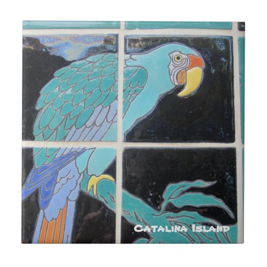 CATALINA ISLAND CERAMIC TILE FLIESE (Vorderseite)