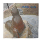CATALINA ISLAND CERAMIC TILE THE BEN FLIESE (Vorderseite)